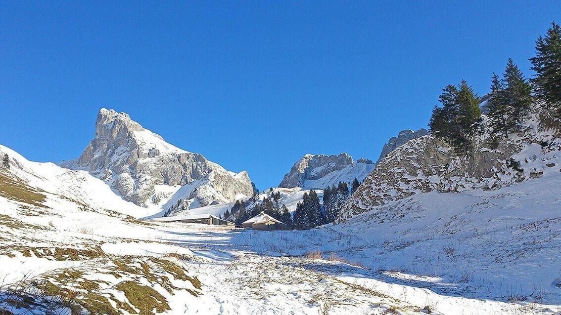 L'Ourserie Bed & Breakfast Saint-Paul-en-Chablais Cameră foto